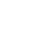 Button for Students & Advising link